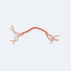 Orange Prajiad